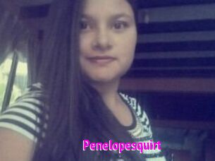 Penelopesquirt