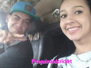 Penguinandcricket
