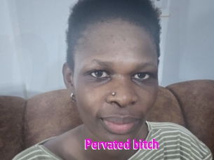 pervated_bitch Porn Loverz