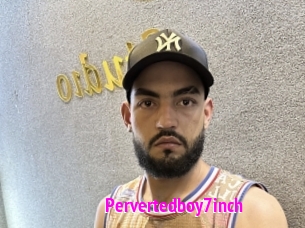 Pervertedboy7inch