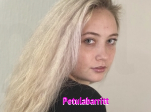 Petulabarritt