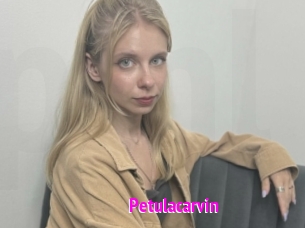 petulacarvin Porn Loverz