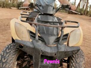 Pewnis