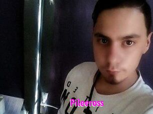 Pileeross