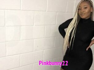 Pinkbunny22