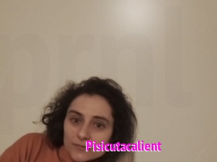 Pisicutacalient