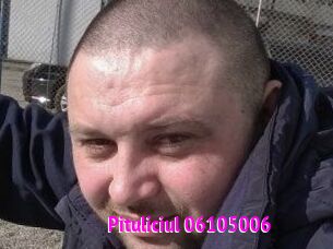 Pituliciul-06105006