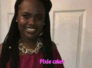 Pixie_cakes
