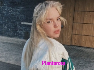 Plantarosa
