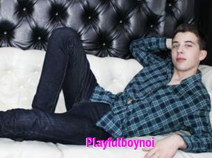 Playfulboynoi