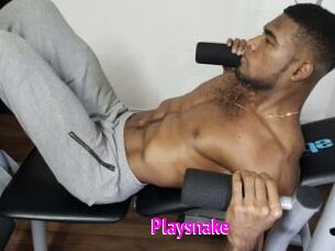 Playsnake