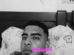 pollbigdick Porn Loverz