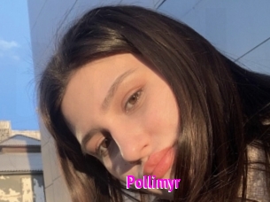 Pollimyr
