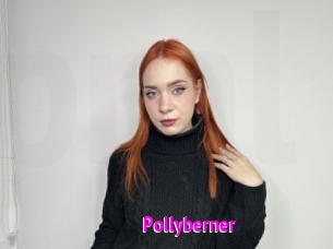 Pollyberner