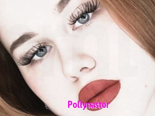 Pollynaster