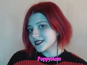 Poppyblom