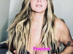 Poppybud