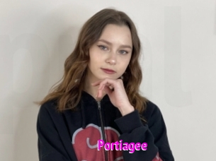 Portiagee