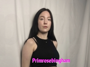 Primrosebingham