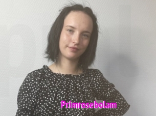 Primrosebolam