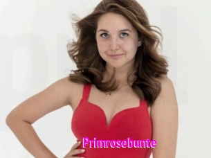 Primrosebunte