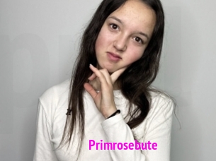 Primrosebute