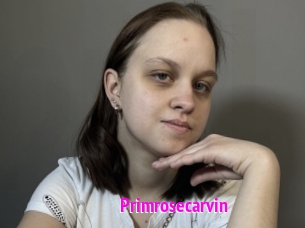 Primrosecarvin