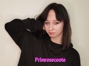 Primrosecoote