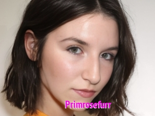 Primrosefurr