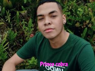 prince_cobra Porn Loverz