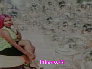 Princess23