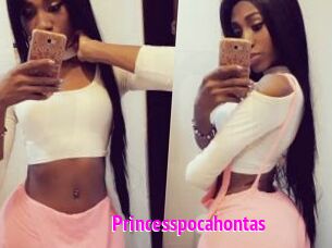 Princesspocahontas