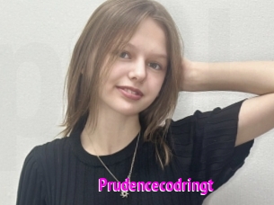 Prudencecodringt