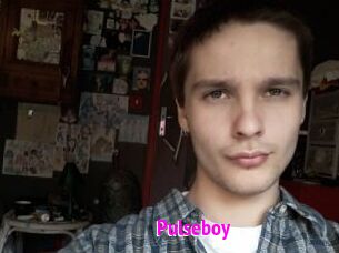 pulseboy Porn Loverz