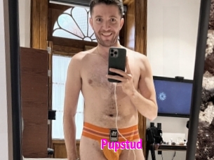 Pupstud