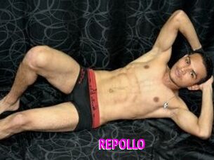 REPOLLO