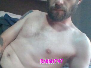 Rabbit747