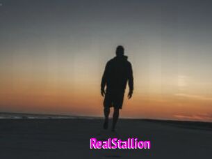 RealStallion