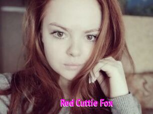 Red_Cuttie_Fox