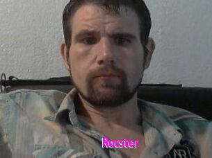Rocster