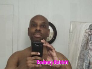 Rodney_Rabbit