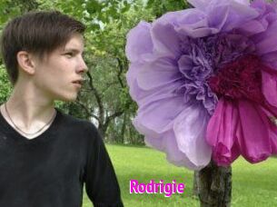 Rodrigie
