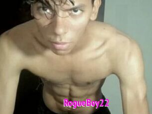 RogueBoy22