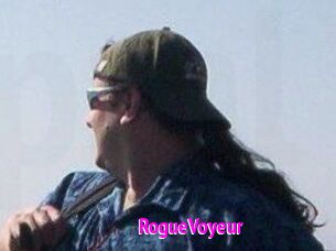 RogueVoyeur