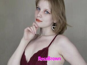 RosaBrown