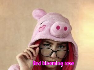 red_blooming_rose Porn Loverz