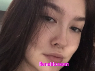 Reneblossom