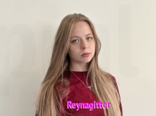 Reynagitter