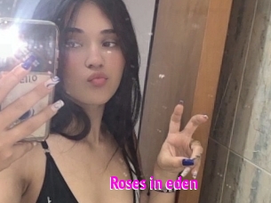 Roses_in_eden