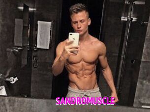 SANDRO_MUSCLE